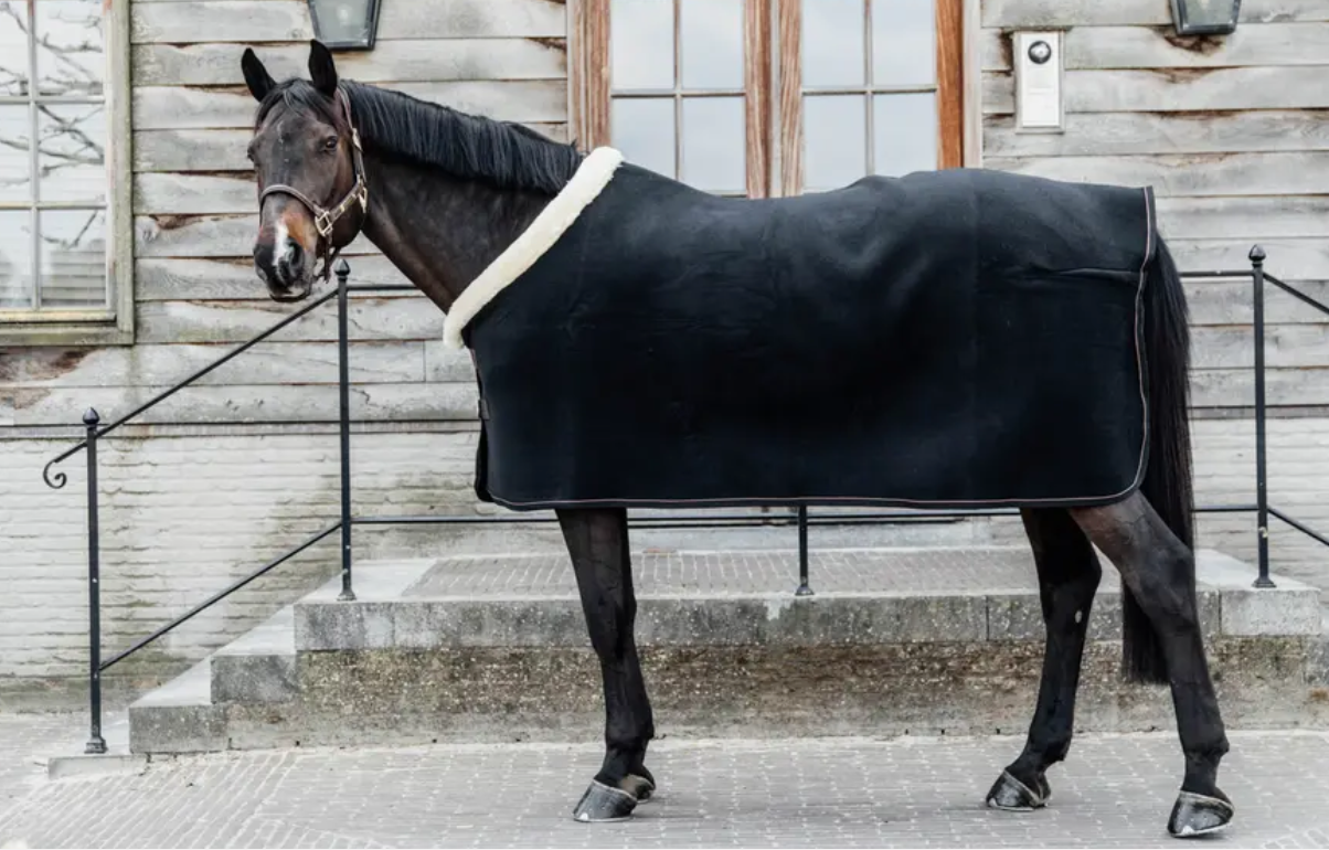 Kentucky Fleece Show rug