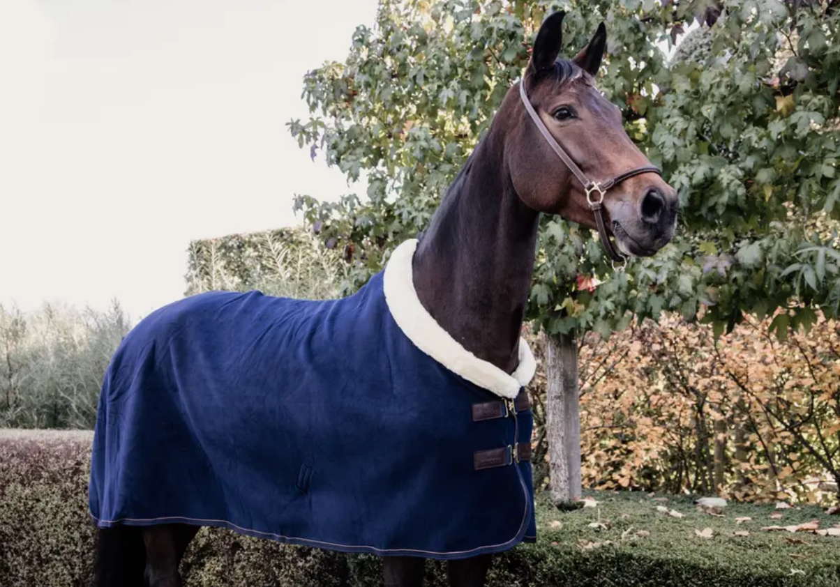 Kentucky Fleece Show rug