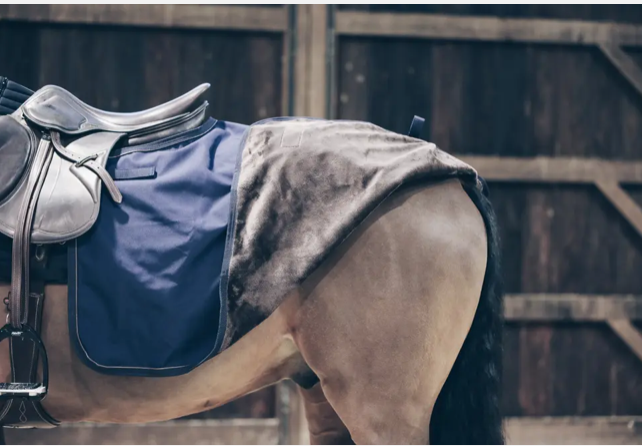 Kentucky Quarter Rug All Weather