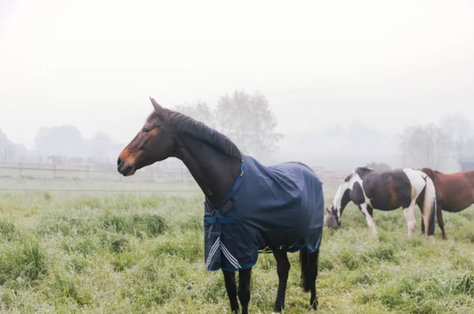 Kentucky All Weather Waterproof Comfort 0g