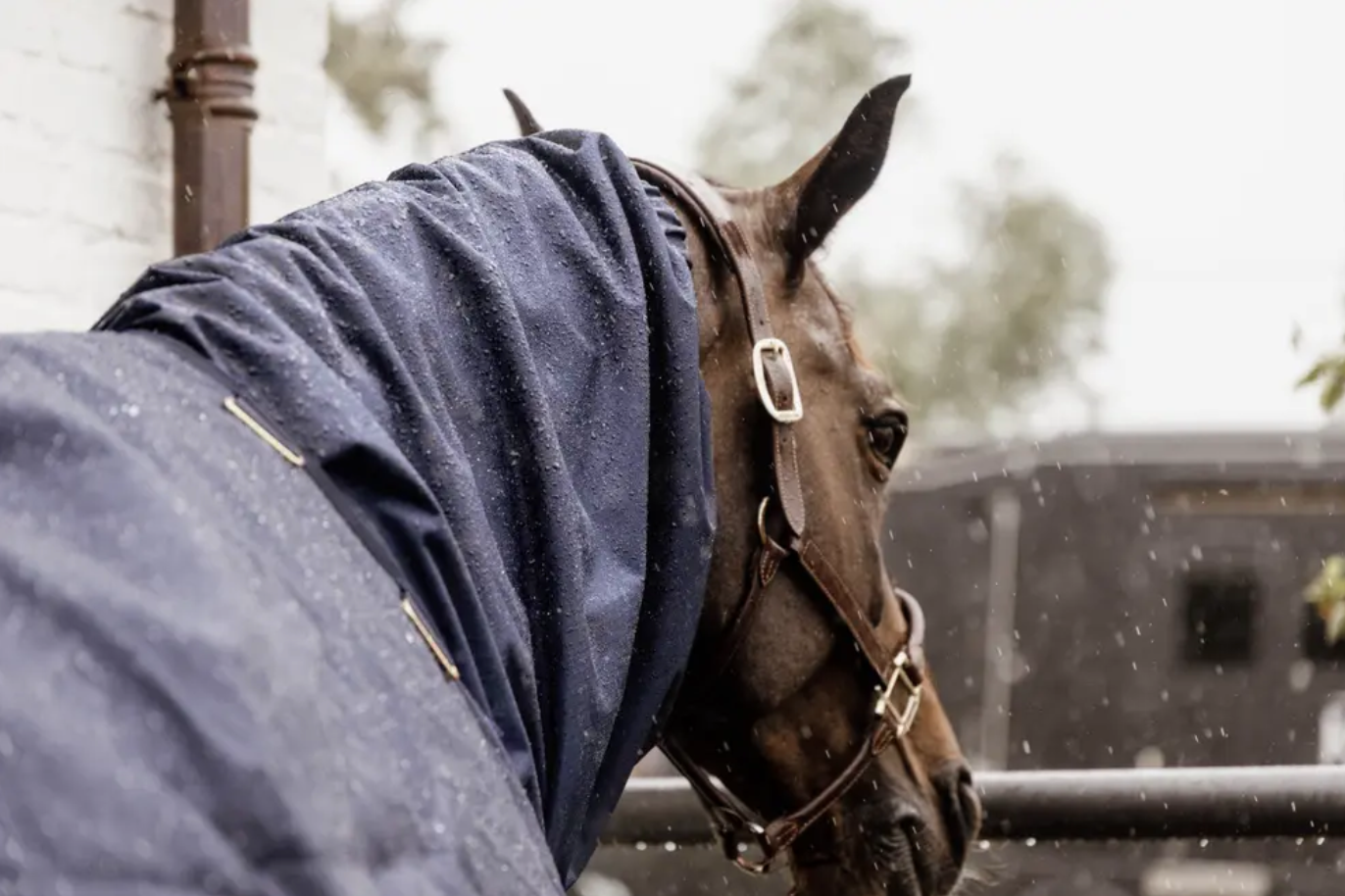 Kentucky Waterproof Horse Scarf