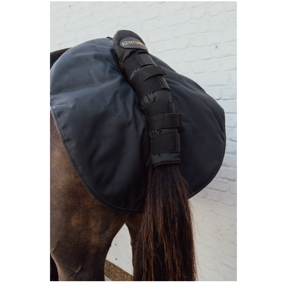 Kentucky Quarter Guard