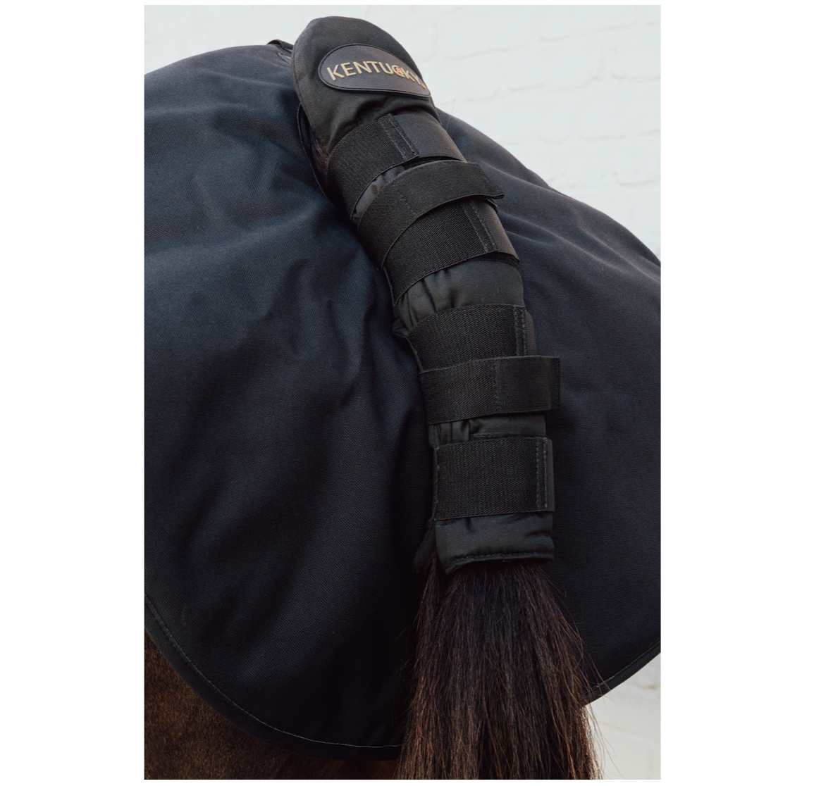 Kentucky Quarter Guard