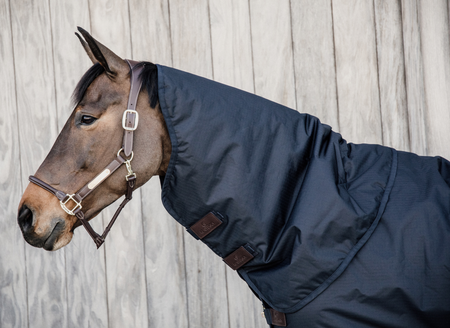 Kentucky Neck All Weather Waterproof Classic 0g