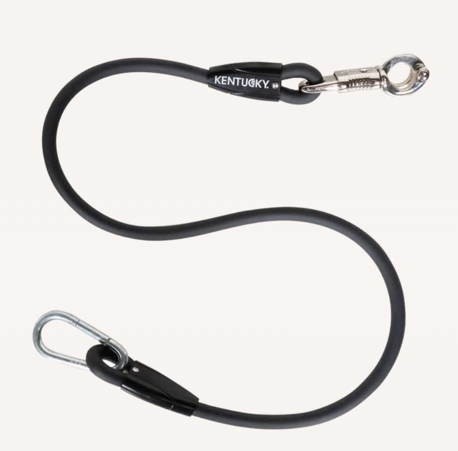 Kentucky Horsebox lead & cross ties
