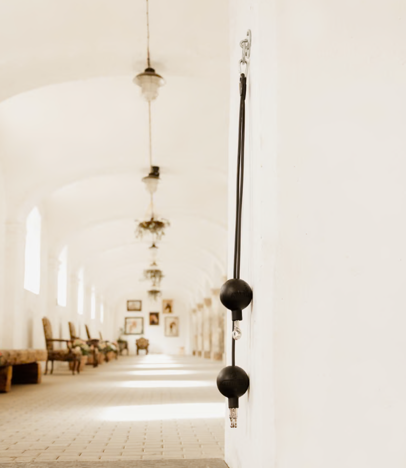 Kentucky Horsebox lead & cross ties