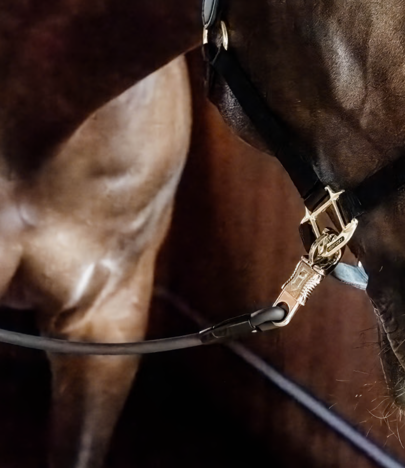 Kentucky Horsebox lead & cross ties