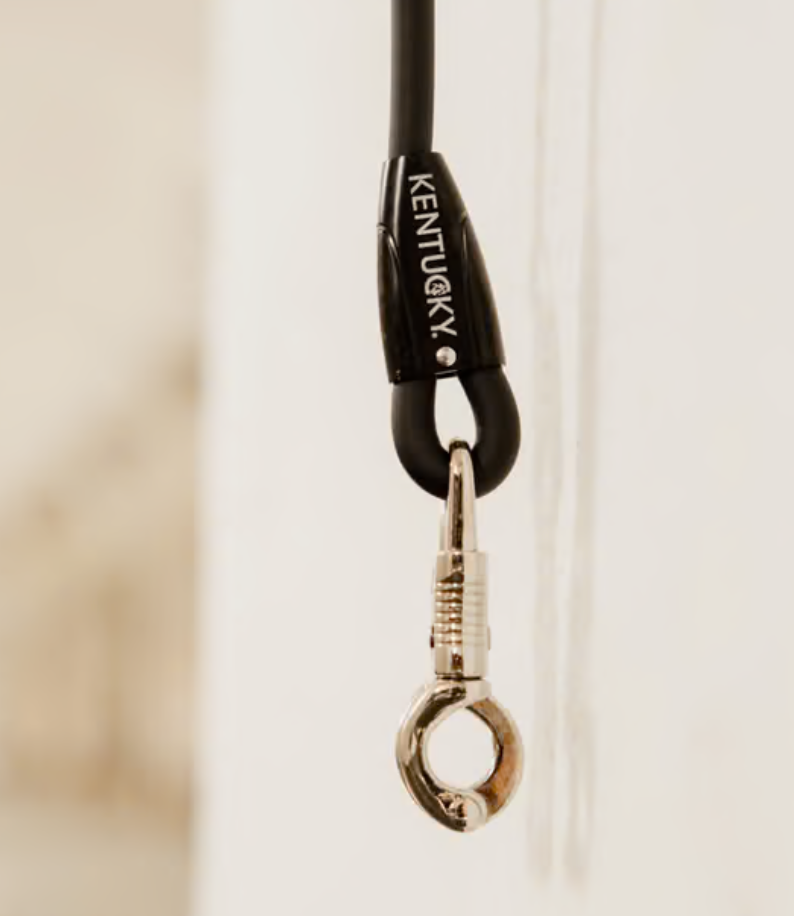 Kentucky Horsebox lead & cross ties