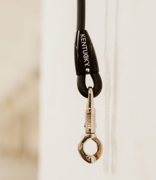 Kentucky Horsebox lead & cross ties