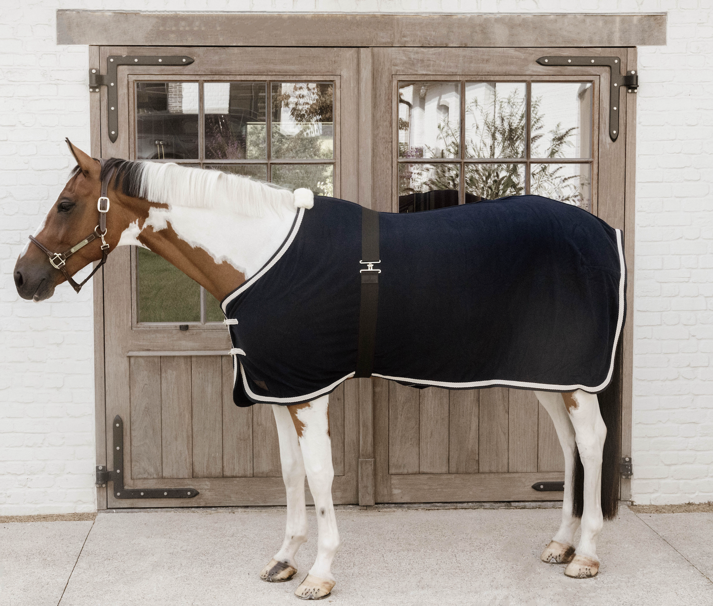 Kentucky Elastic Rug Belt