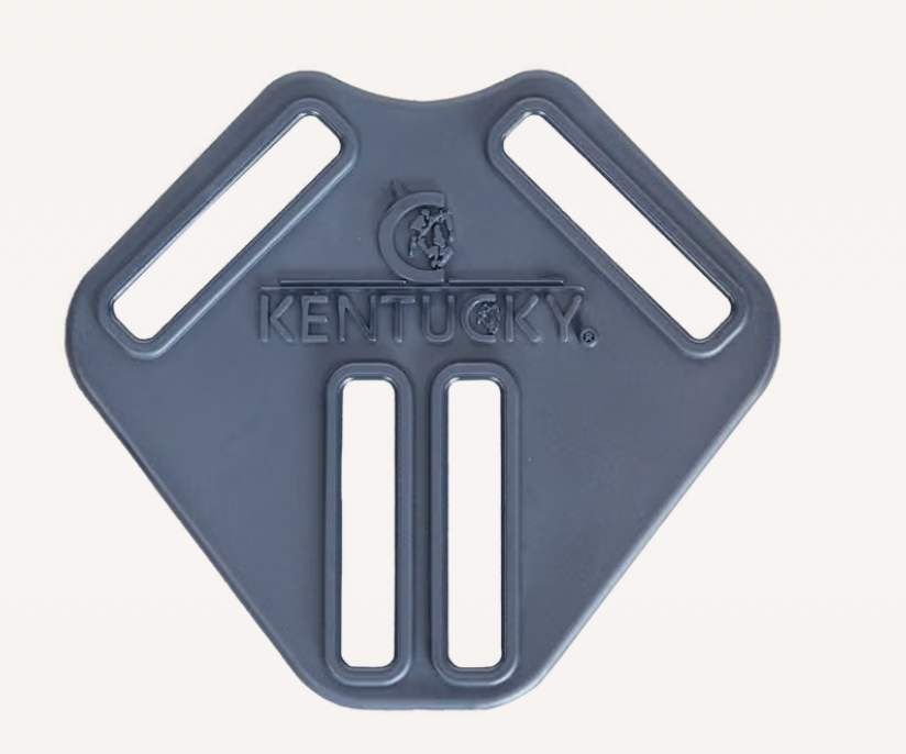 Kentucky Comfort Buckle for blankets