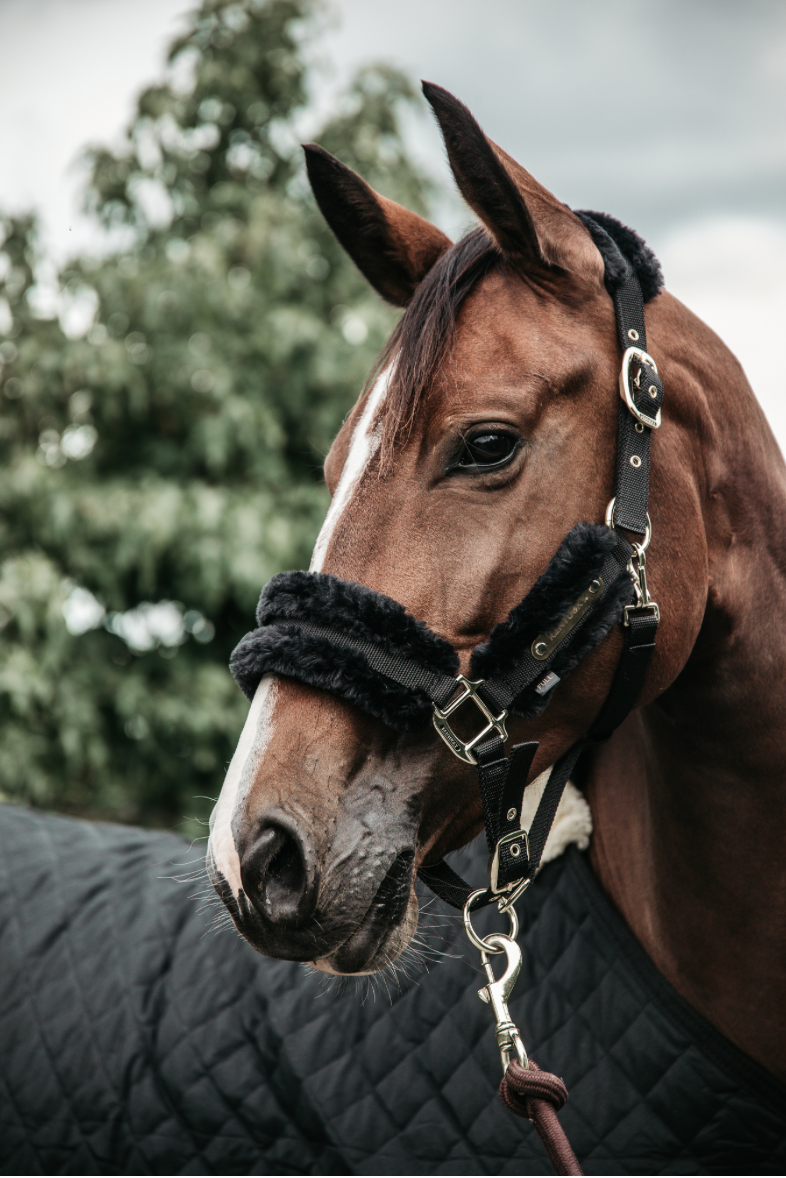 Kentucky Sheepskin Halter Soft