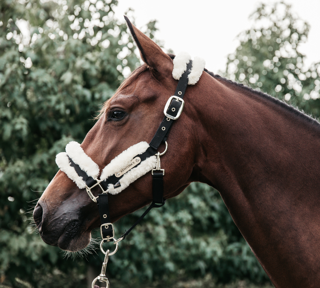 Kentucky Sheepskin Halter Soft