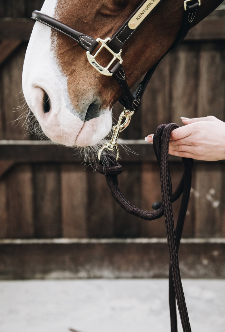 Kentucky Lead Rope Loop 2.8m