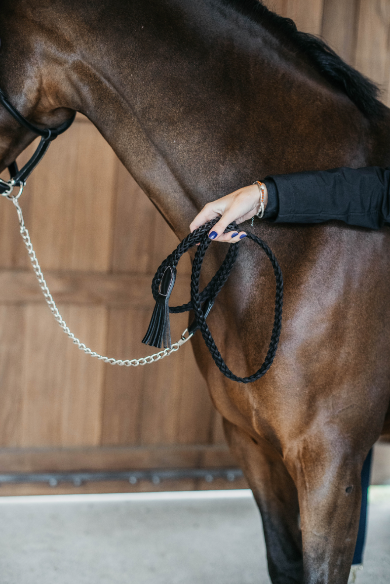 Dy'on Plaited Lead with Chain 2.4m