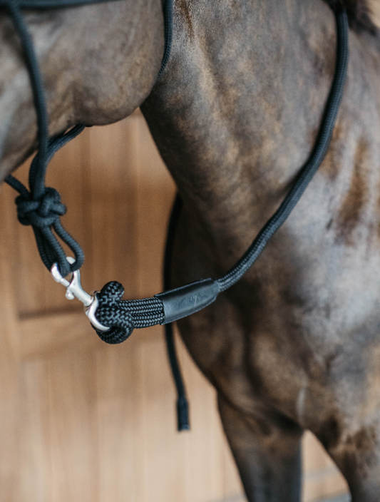 Dy'on Lead with removable Snap 2m