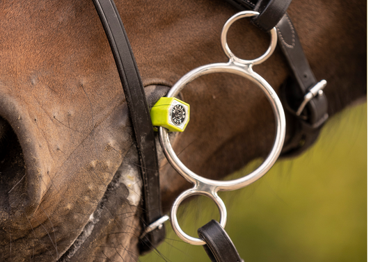 Metalab 3 ring soft flexi