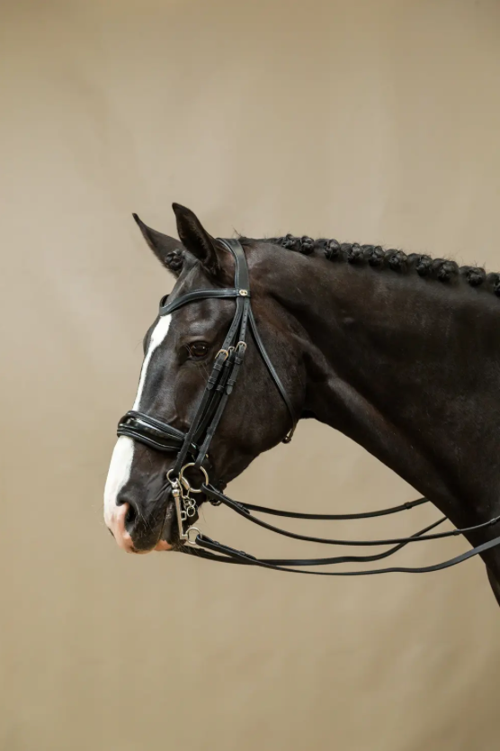 Dy'on Double Bridle Patent Large Crank Noseband Flat Leather