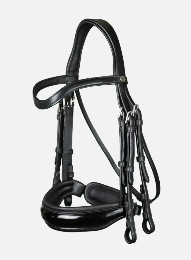 Dy'on Double Bridle Patent Large Crank Noseband Flat Leather