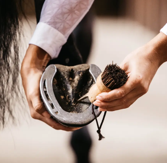 Kentucky Hoof Pick Small