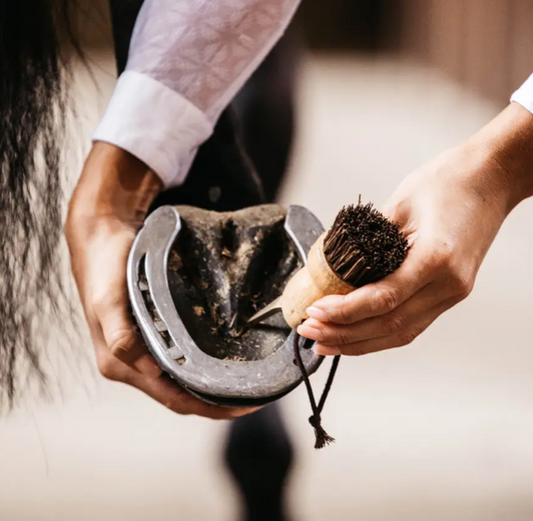 Kentucky Hoof Pick Small