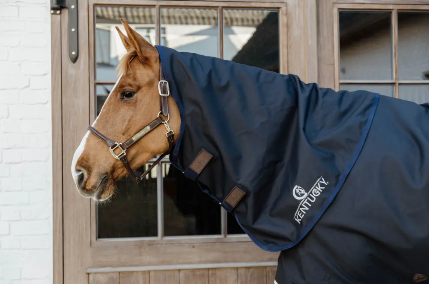 Kentucky All Weather Waterproof Comfort Neck 0g