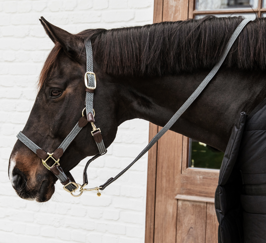 Kentucky Plaited Nylon Horse Lead