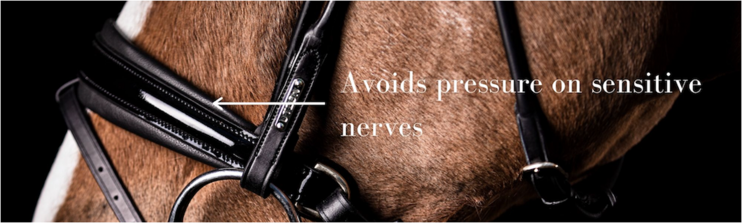 utzon bridles are well fitted