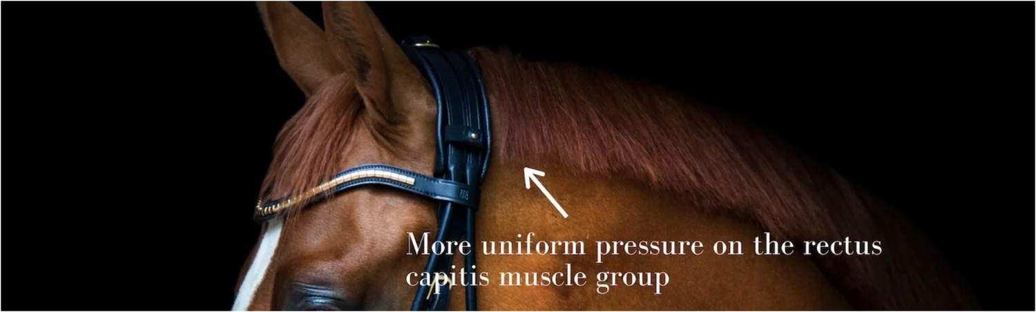 Utzon poll relief bridle
