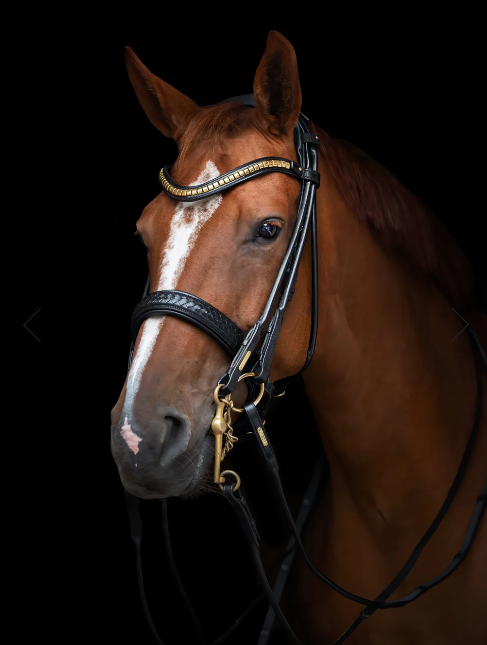 Utzon grand prix double bridle in black with gold metalware