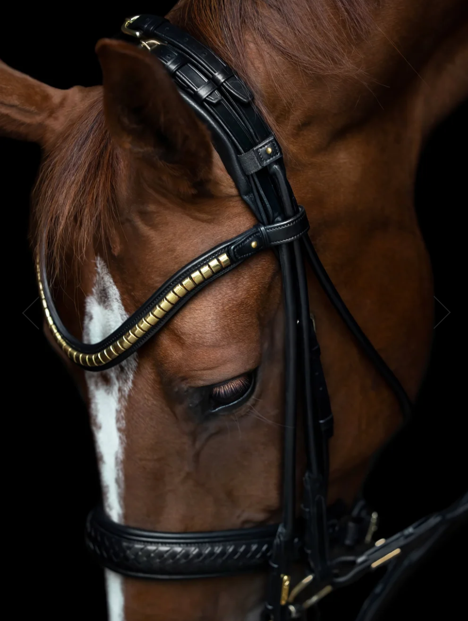 Utzon grand prix double bridle in black with gold metalware