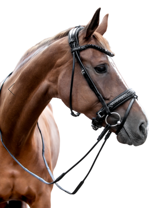 Utzon olympic jumping bridle in black leather with Utzon empire ebony browband.