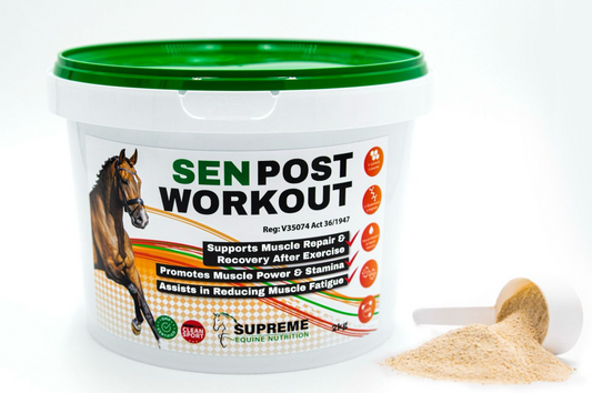 sen post workout muscle supplement