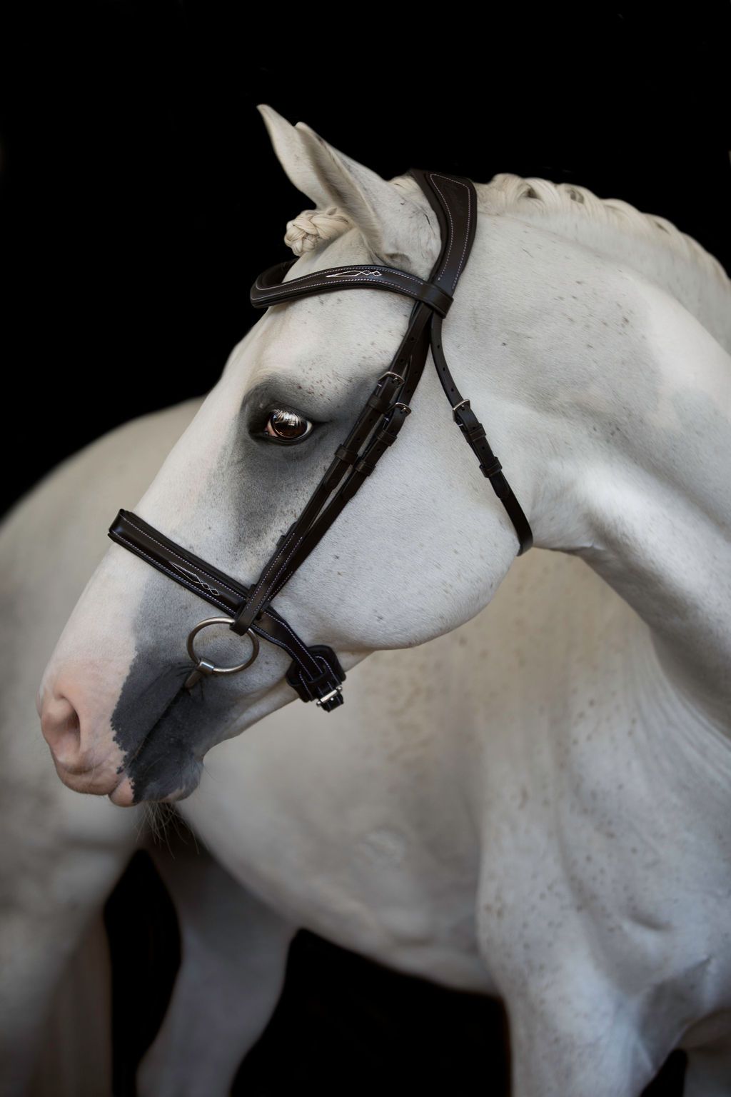 Lumiere 'Milan' Convertible Bridle