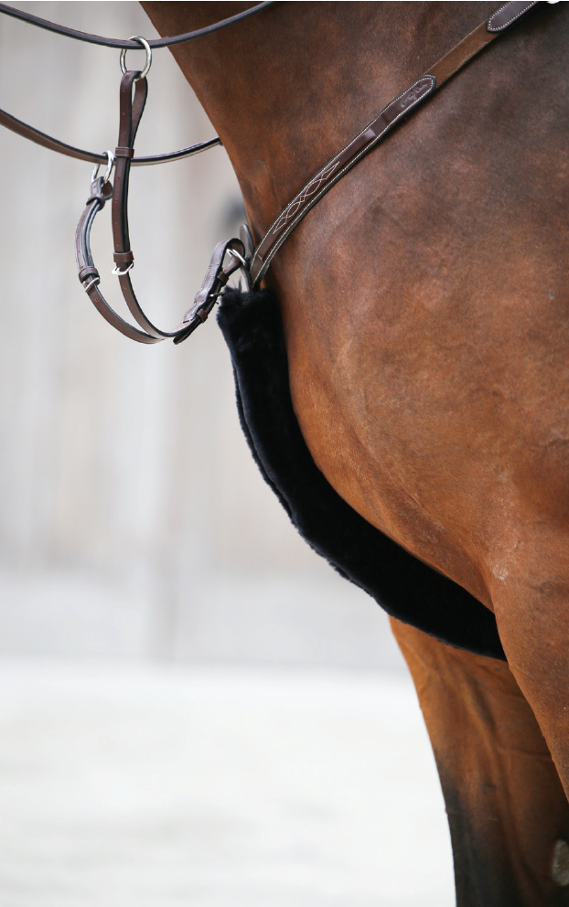 Kentucky Sheepskin Breastplate Cover