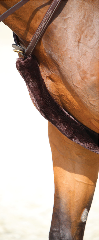 Kentucky Sheepskin Breastplate Cover