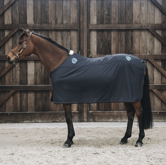 Kentucky Magnetic Rug Recuptex