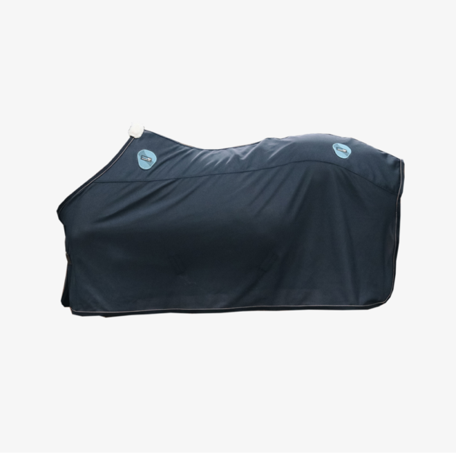 Kentucky Magnetic Rug Recuptex