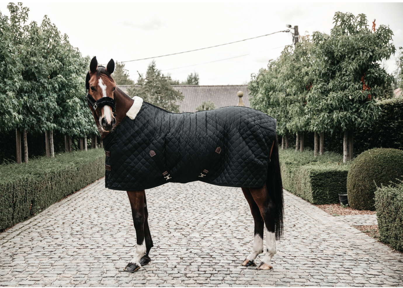 Kentucky Stable Rug 400g