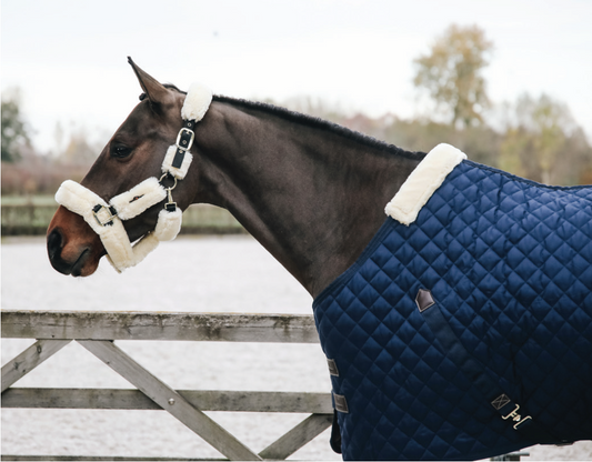Kentucky Stable Rug 400g