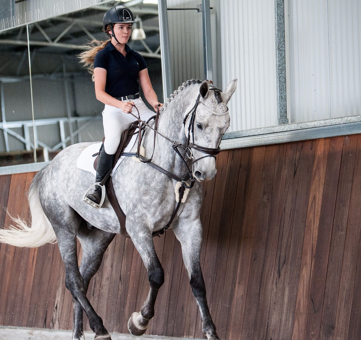 Lumiere 'Antique' 5-point Breastplate