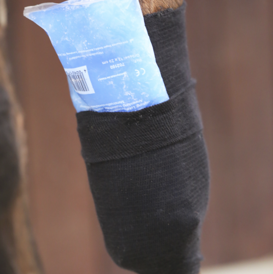Kentucky Tendon Grip Sock