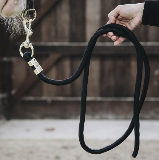 Kentucky Lead Rope Basic 2m