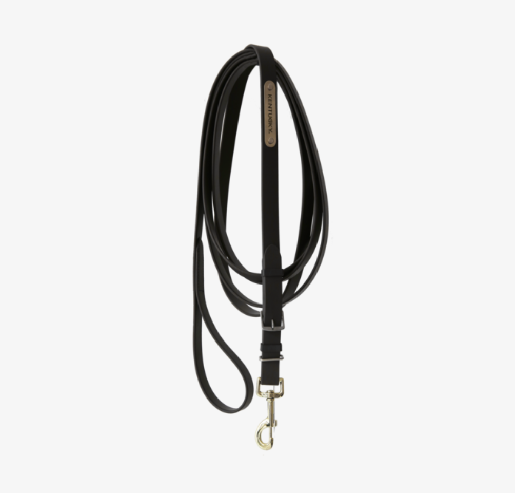 Kentucky Stallion Lead
