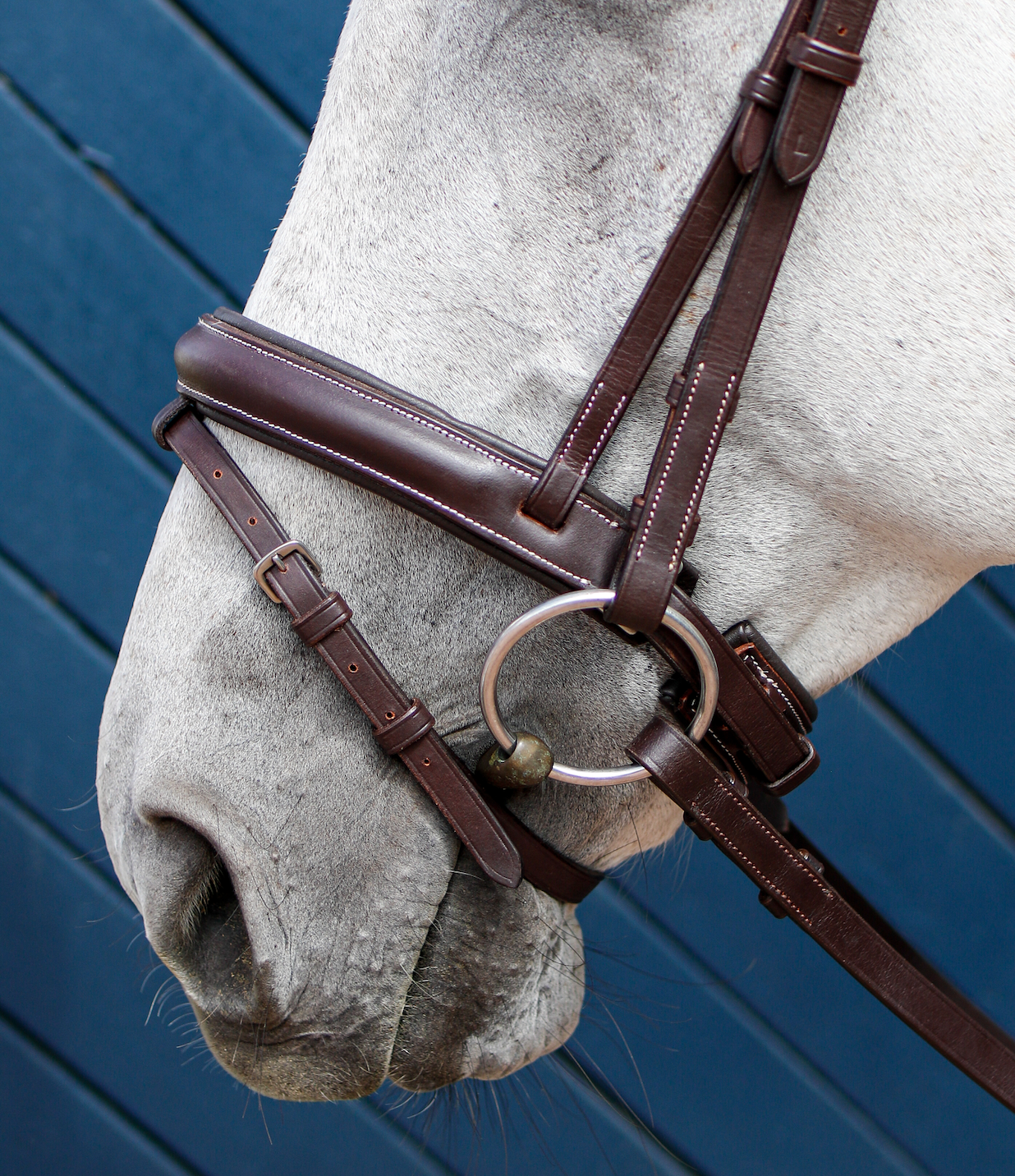 Indiana Anatomical Crank Bridle