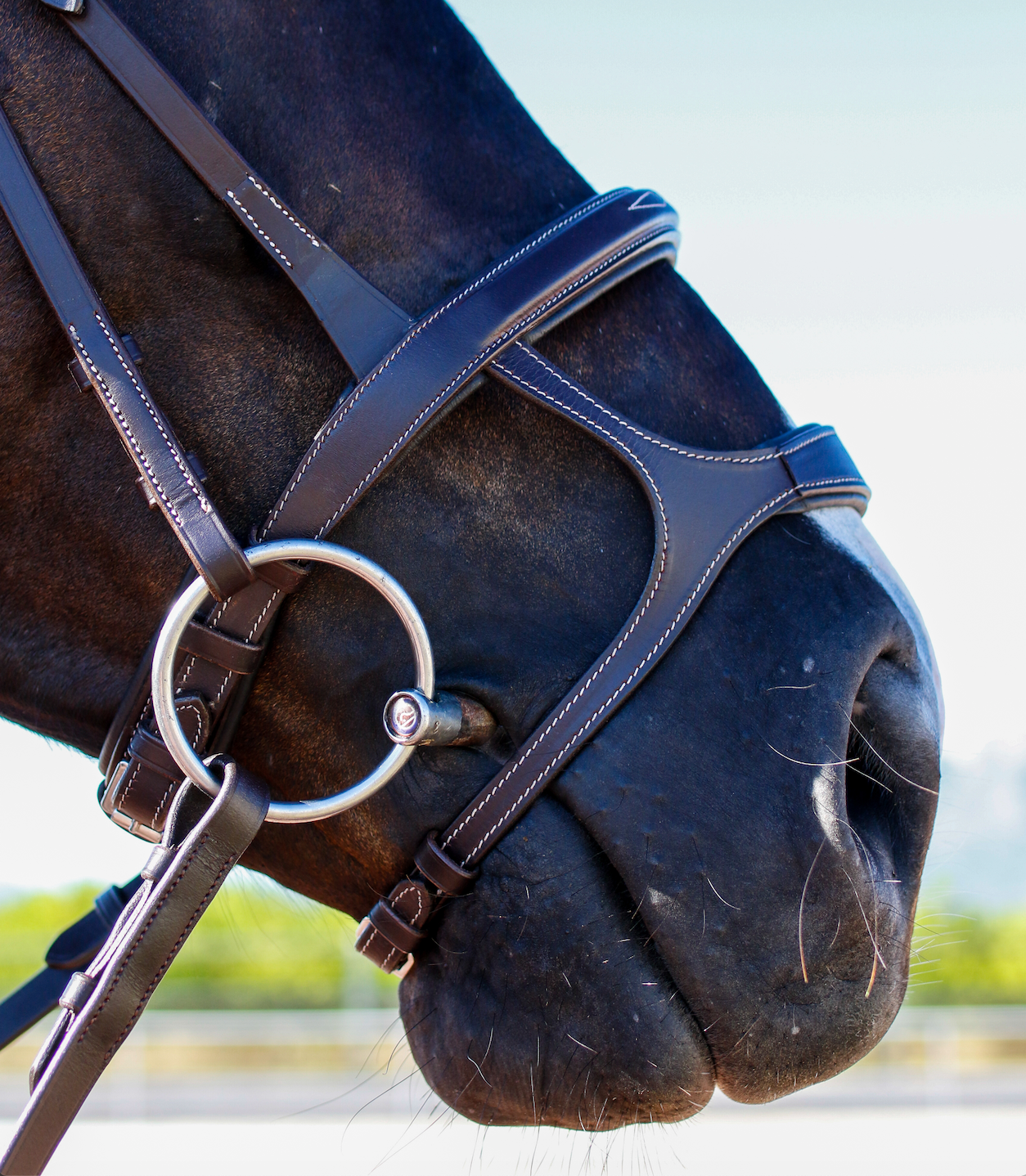 Equi Boutique Double noseband bridle