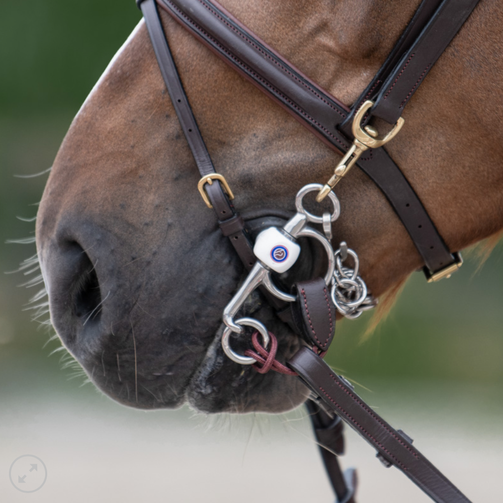 Trust Rein Connectors Short