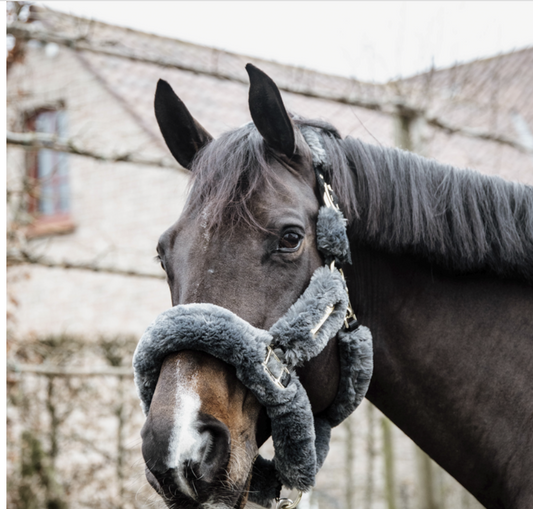 Kentucky Sheepskin Shipping Halter
