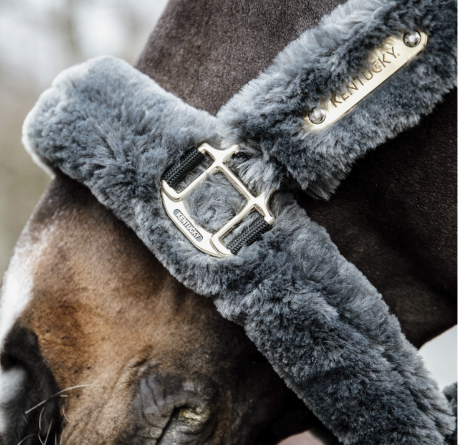 Kentucky Sheepskin Shipping Halter