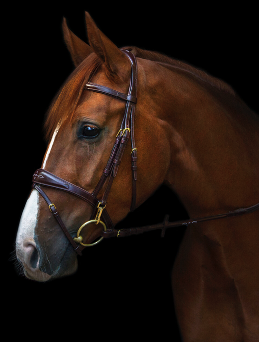 Utzon Belmond Bridle